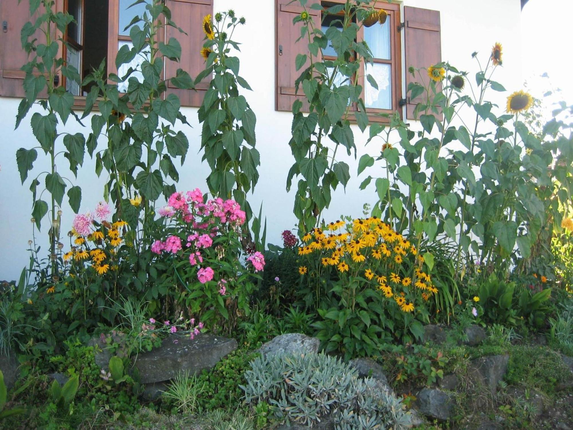 Apartment In The Allg U With View Of The Bavarian Alps Bernbeuren Zewnętrze zdjęcie