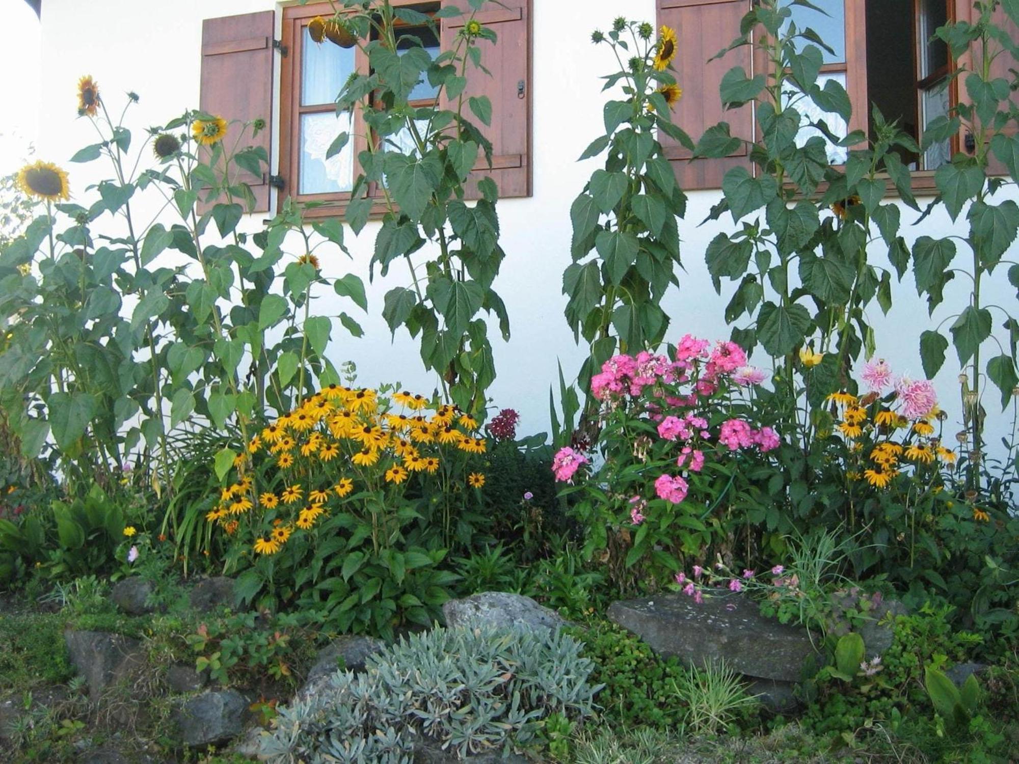 Apartment In The Allg U With View Of The Bavarian Alps Bernbeuren Zewnętrze zdjęcie